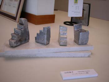 DSCN0180