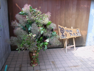 DSCN0128.JPG