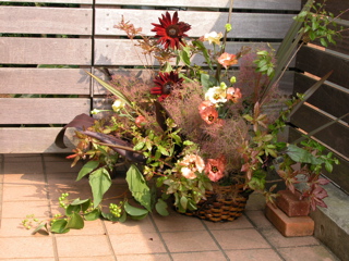 DSCN0129.JPG