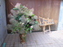 DSCN0128.JPG