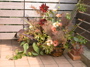 DSCN0129.JPG