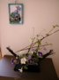 DSCN0115.JPG