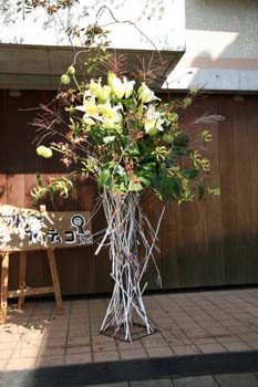 IMG_0772_1