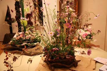 IMG_0799_1