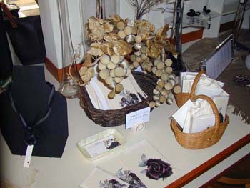 P1010556